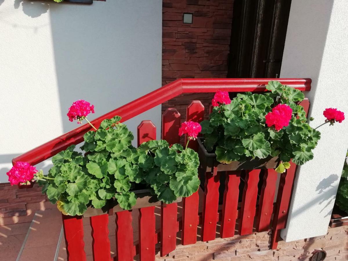 Privat Kovacova Βίλα Žiar Εξωτερικό φωτογραφία